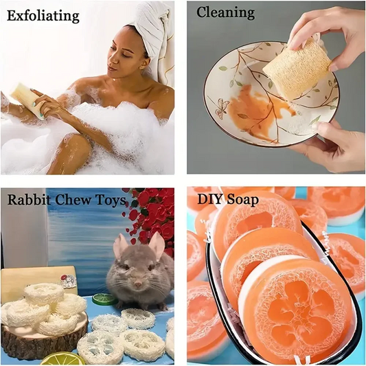 1/3/5pcs Natural Loofah Dish Brush Pot Brush Cleaning