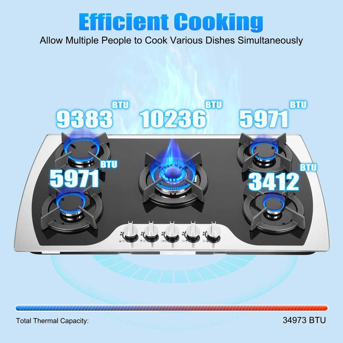 Lpg/Ng Gas Cooktop Gas Cooker Burners Built-In Gas