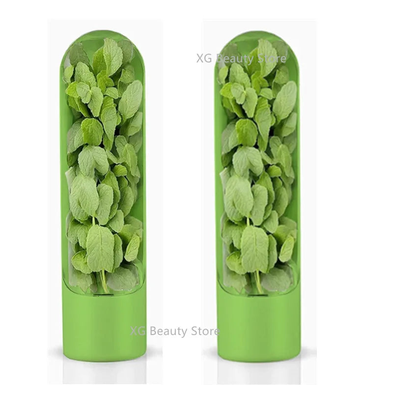 1/2/3pcs Green Fresh Herb Keeper Vanilla Vegetables Fresh