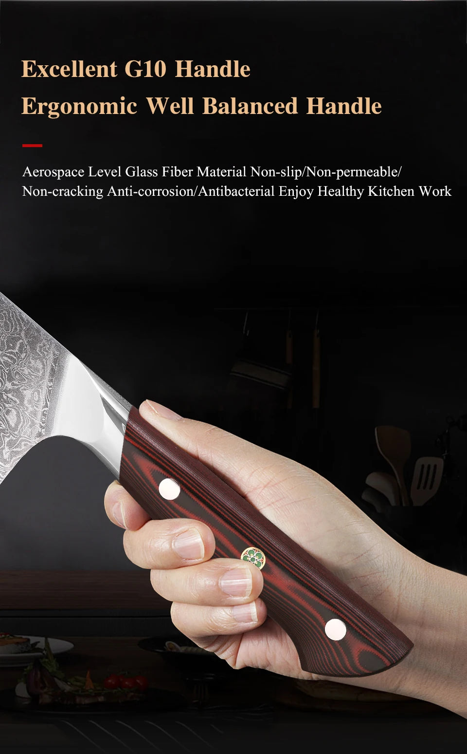 Turwho Professional Japanese Chef Knife 67 Layer Damascus