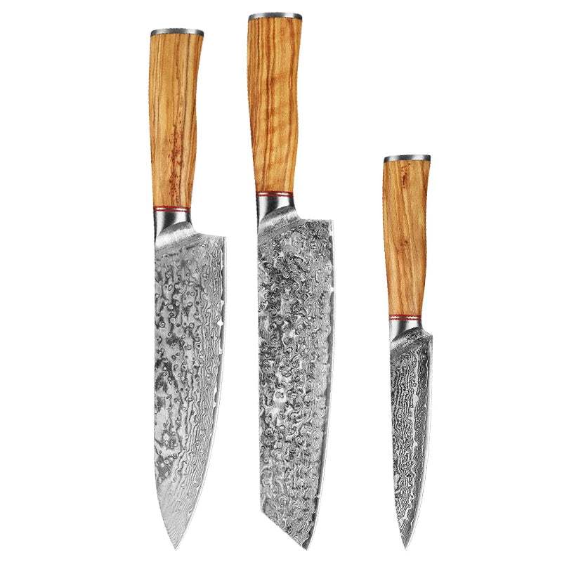 Damascus Steel Knife 67 Layer Slicing Knife Meat