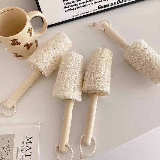 Wooden Handle Loofah Bottle Brush Pc - Eco-Friendly