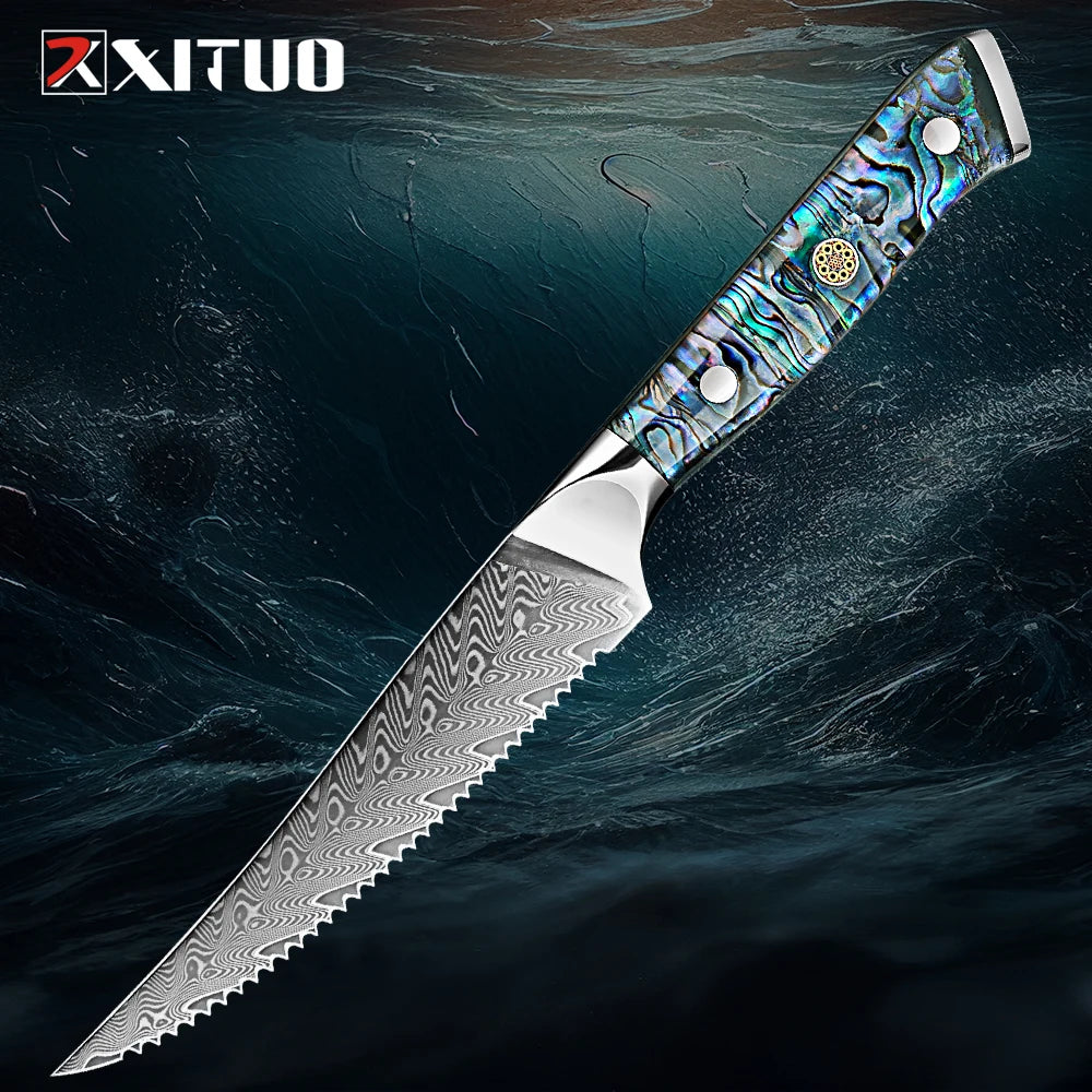 Xituo Damascus Steel Knife 1-5 Chef Knife Japanese