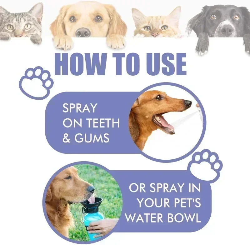 Pet Oral Care Spray Dogs Daily Teeth Cleaning