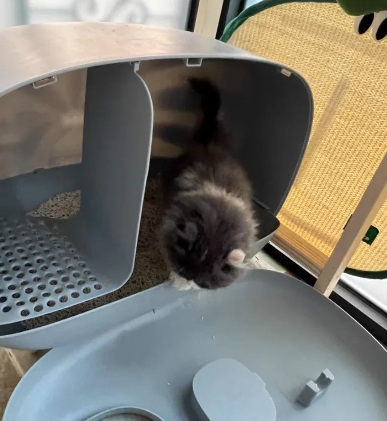 Makesure Cat Litter Box Fully Enclosed Cat Toilet