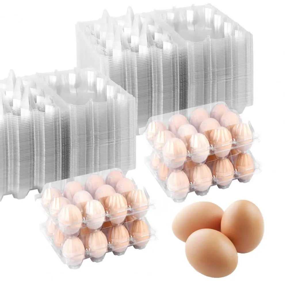50pcs Egg Holder Plastic Cartons 12 Count Reusable