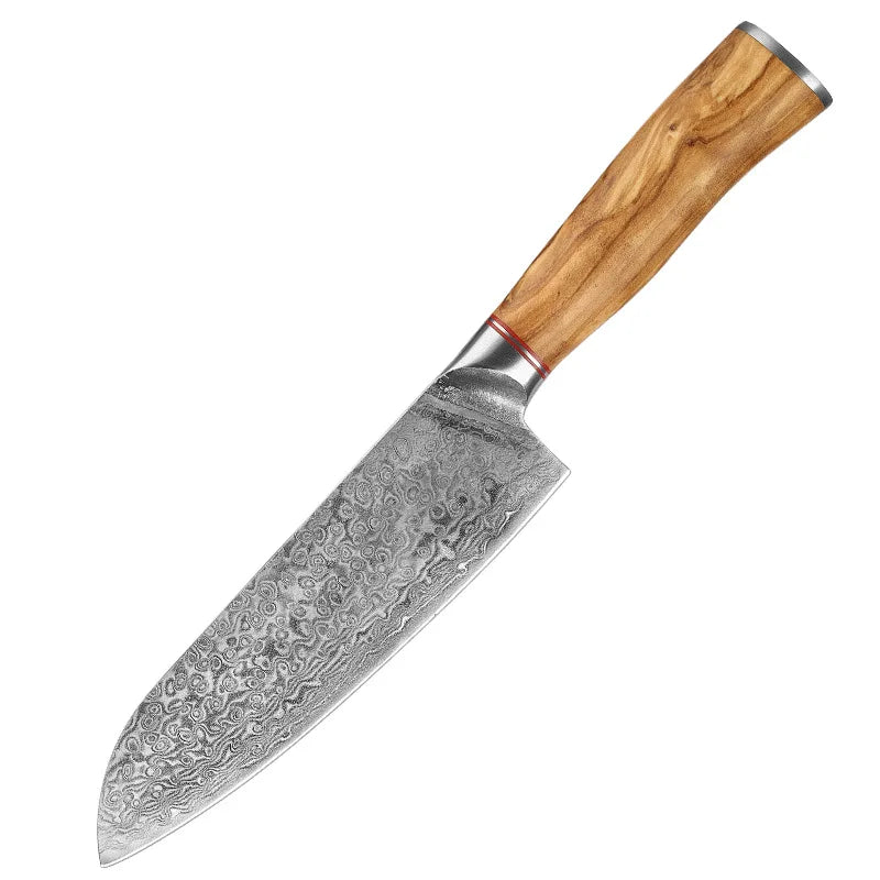 Damascus Steel Knife 67 Layer Slicing Knife Meat