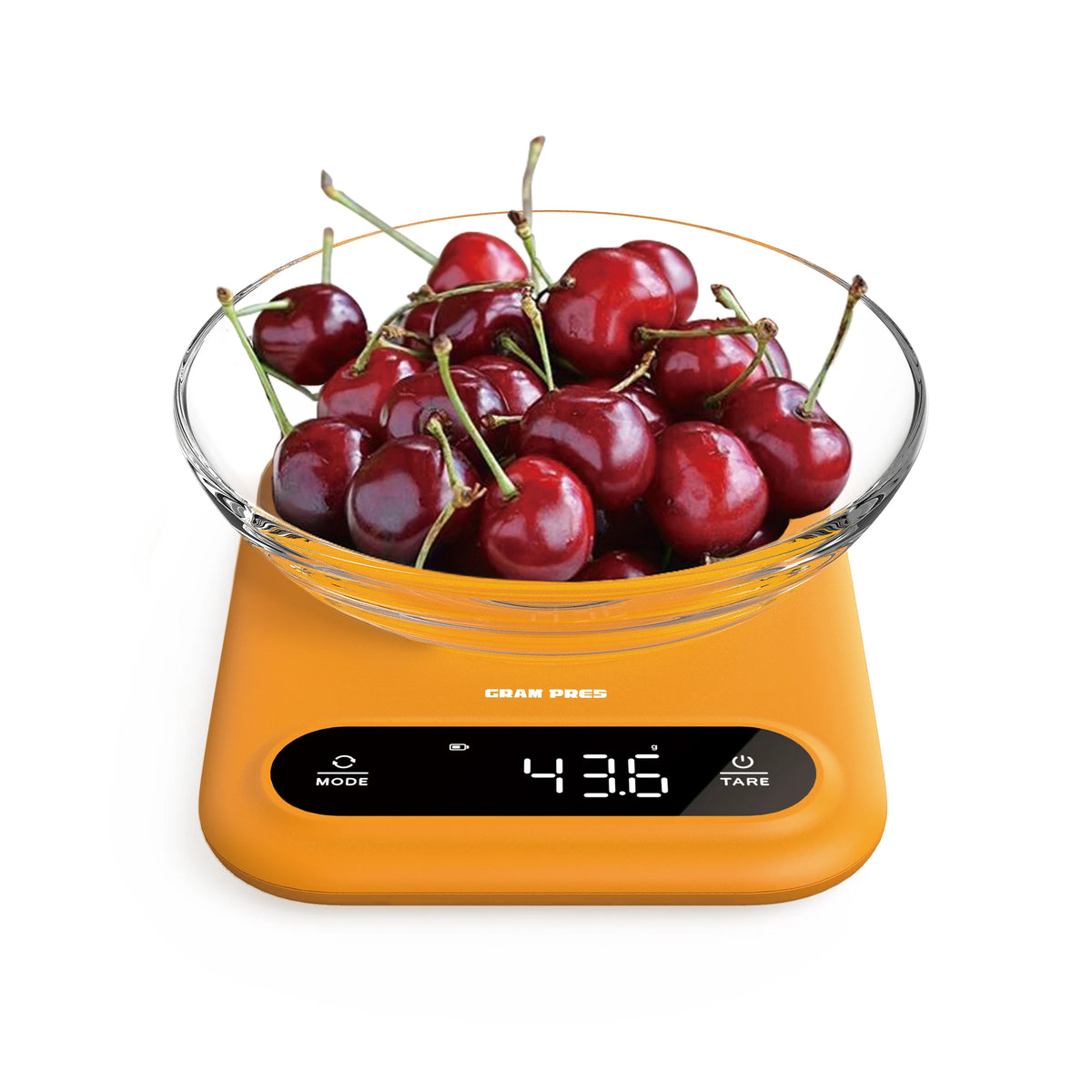 Digital Food Scale Professional Scales Digital Weight Grams