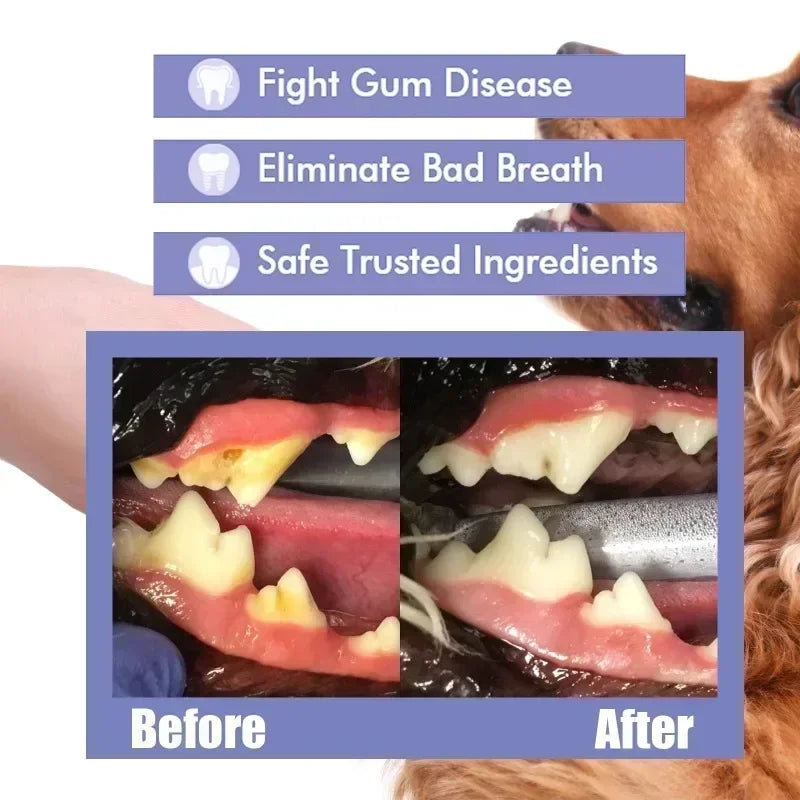 Pet Oral Care Spray Dogs Daily Teeth Cleaning