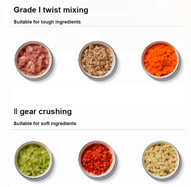 220v 12l 10l 6l Electric Meat Grinder Chopper
