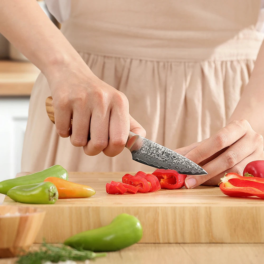 Hezhen Inch Paring Knife 67 Layer Damascus Steel