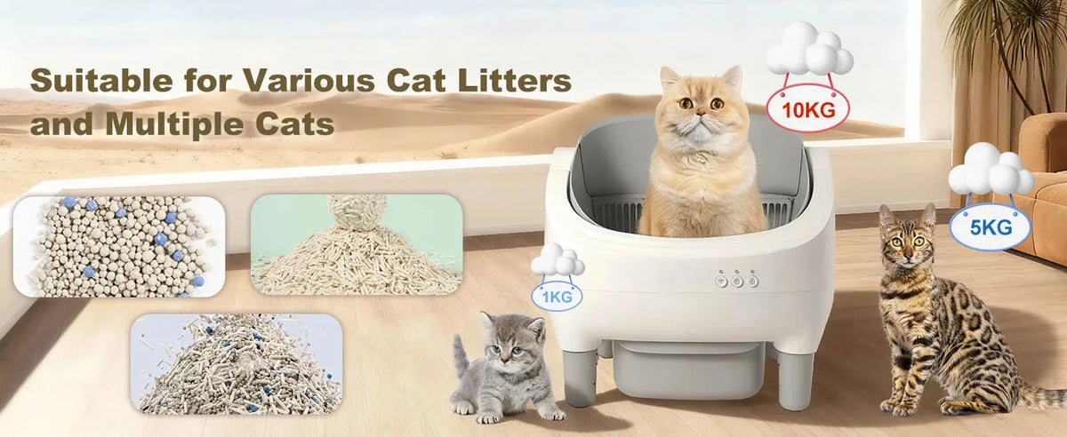 Miaoerduo 75l Self-Cleaning Cat Litter Box App Real-Time
