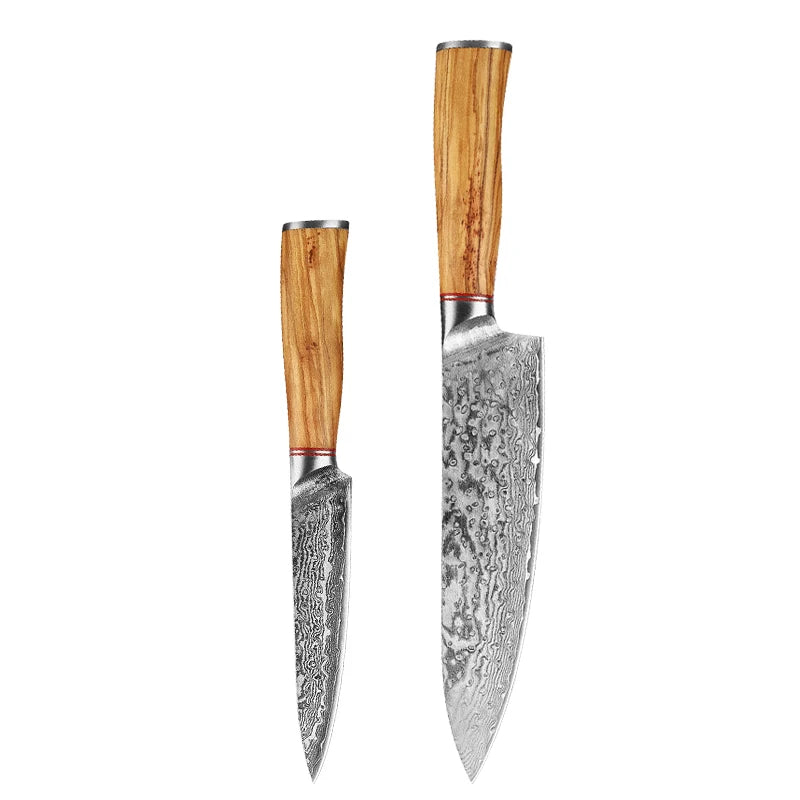 Damascus Steel Knife 67 Layer Slicing Knife Meat