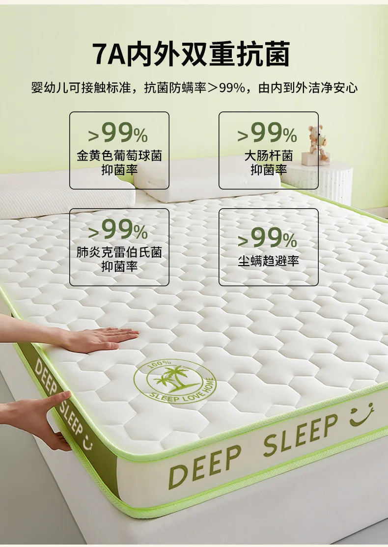 Sponge Mattress Elastic Cushion Double Foldable Memory Foam