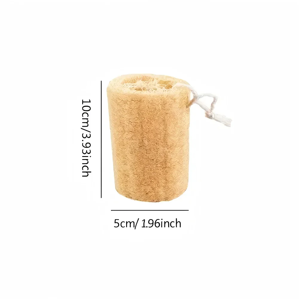 1/3/5pcs Natural Loofah Dish Brush Pot Brush Cleaning