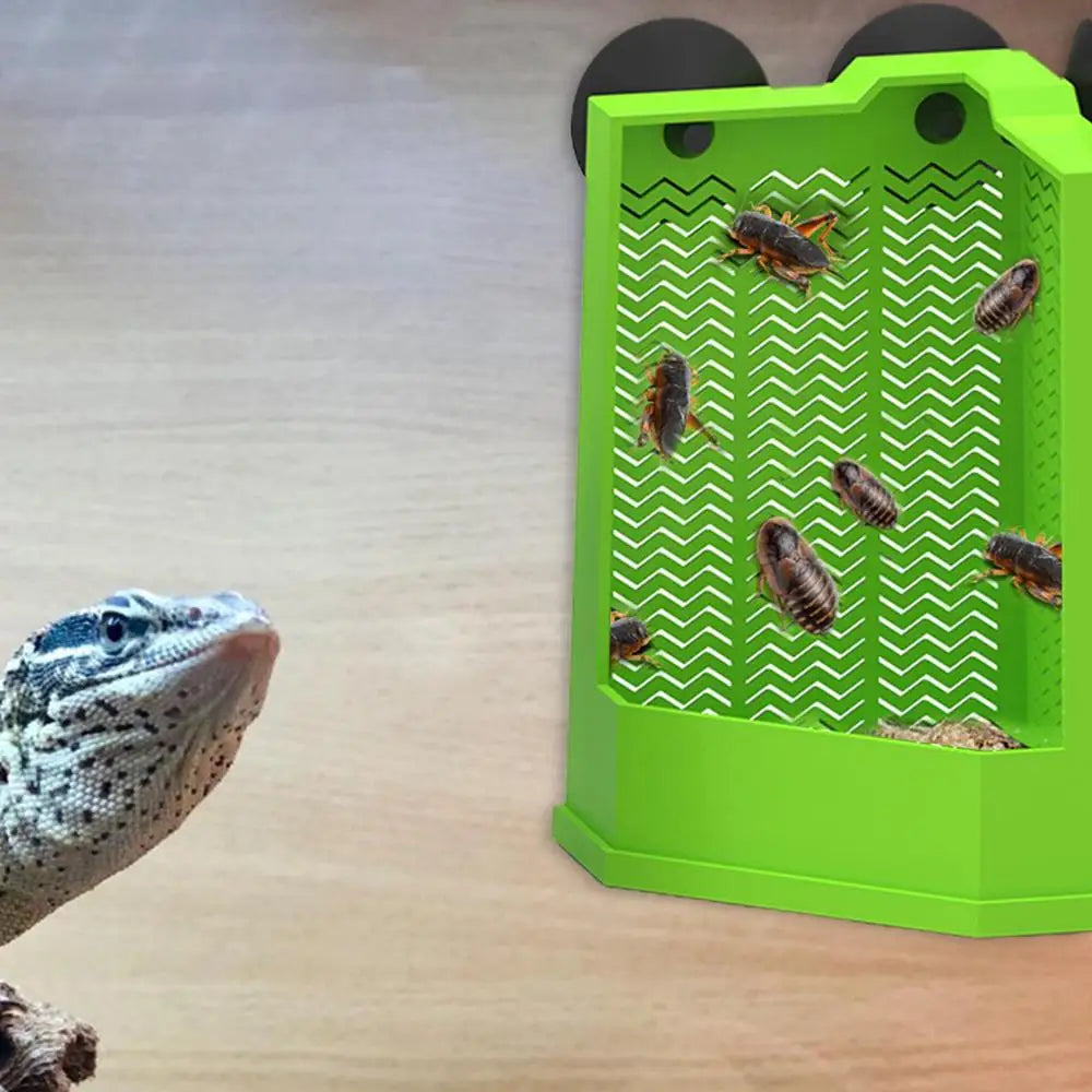 Reptile Food Dish Reptile Feeding Bowls Reptile Dish