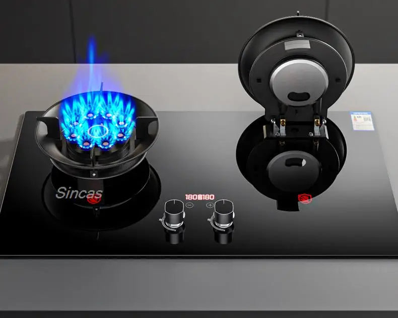 Gas Stoves Dual Stove Embedded Nature Gas/Lpg Timing
