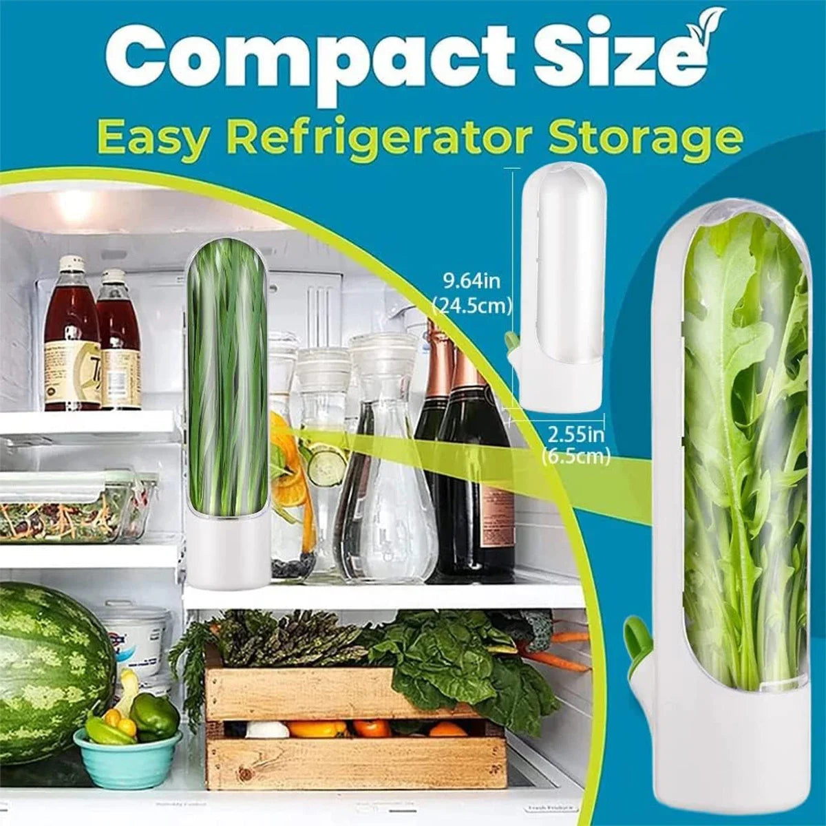 1/2/3pcs Green Fresh Herb Keeper Vanilla Vegetables Fresh