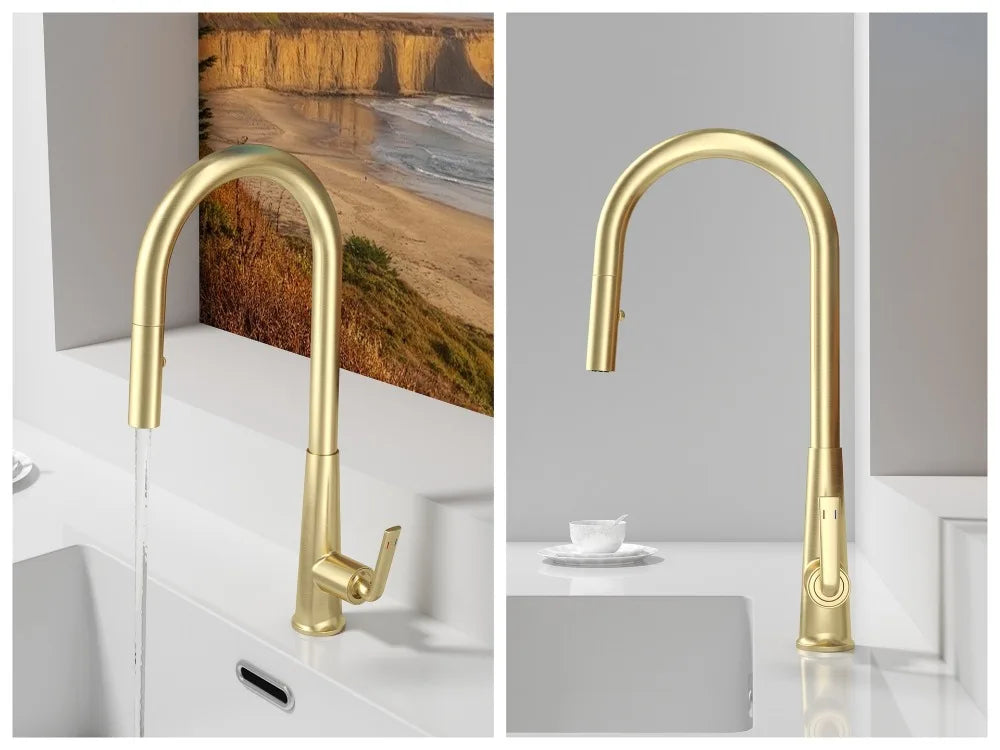 Brushed Gold Faucet Pull Out Sprayer Cold Water