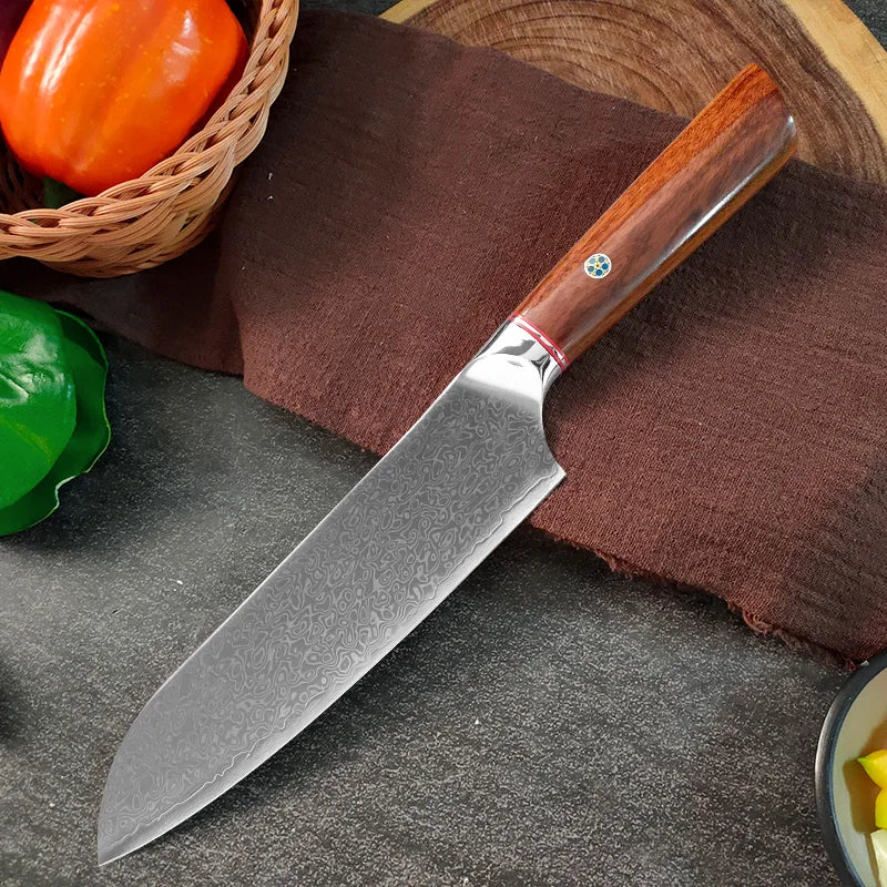 Damascus Steel Professional Chef Knife Super Sharp Cutting