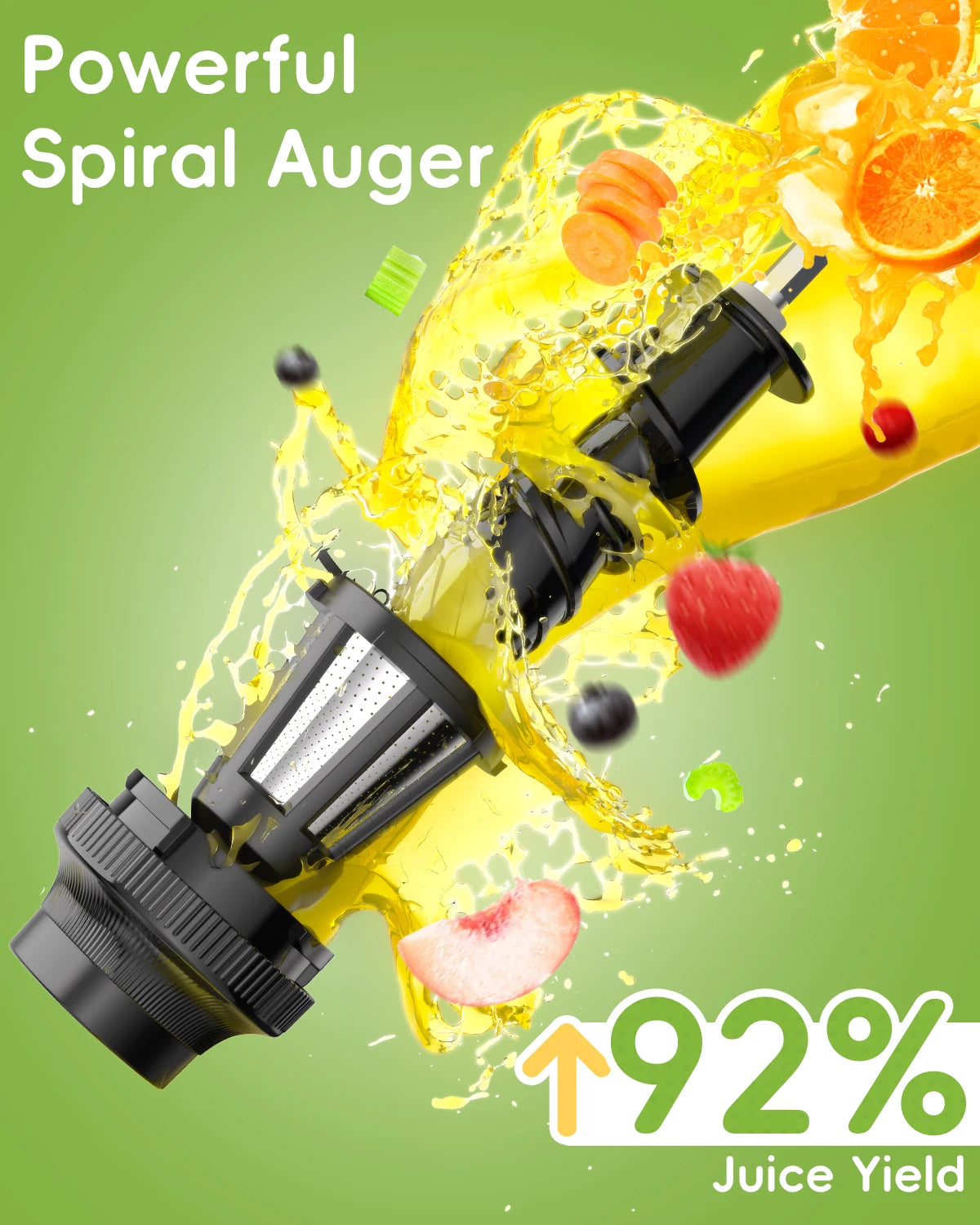 Biolomix Cold Press Juicer Slow Masticating Juicer Machines