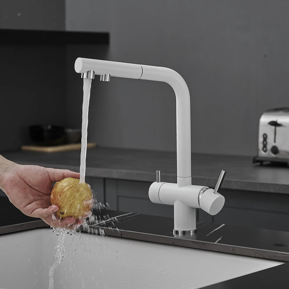 Copper Alloy Way Pull Out Filter Faucet Chrome