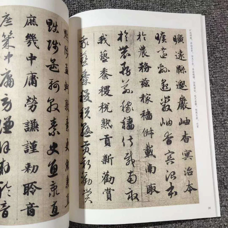 Multiple Styles Calligraphy Copybooks Chinese Thousand