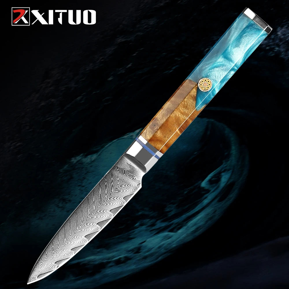 Japanese 67-Layer Damascus Steel Knife Utility Knife Meat