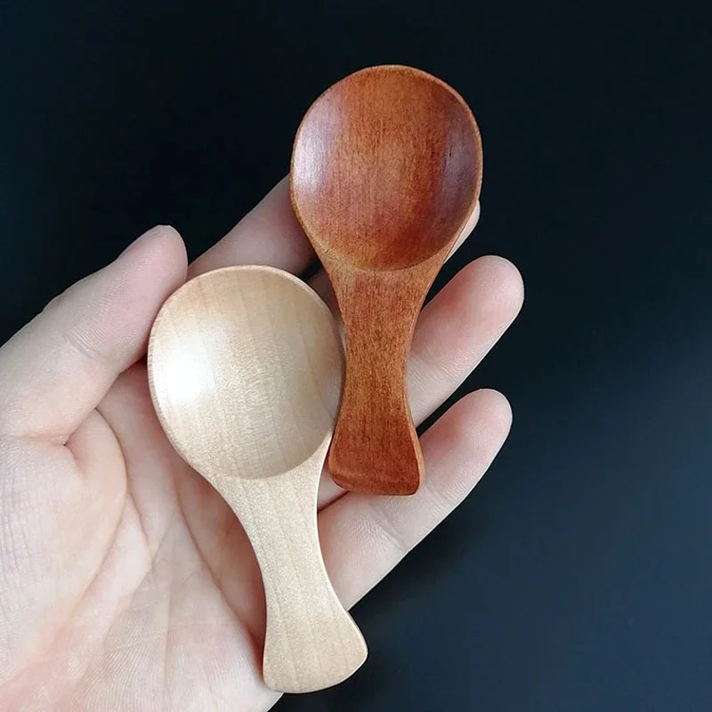 4pcs Mini Wooden Spoons Small Spice Condiment Spoon