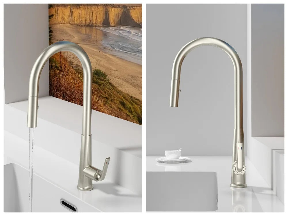 Brushed Gold Faucet Pull Out Sprayer Cold Water
