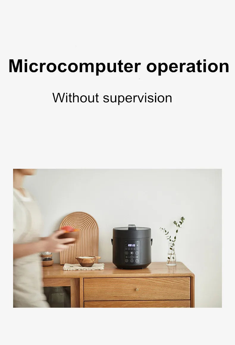 Mini Rice Cooker Ceramic Coated Pot 2l Travel