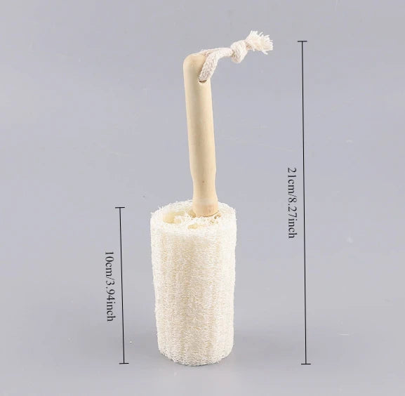 Wooden Handle Loofah Bottle Brush Pc - Eco-Friendly