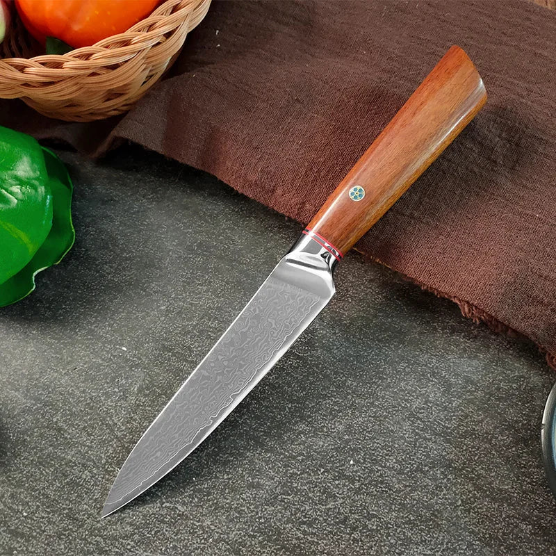Damascus Steel Professional Chef Knife Super Sharp Cutting