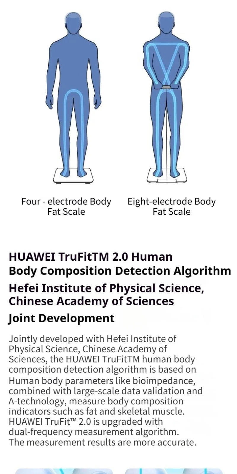 Huawei Body Fat Scale Pro Wifi Bluetooth Precision