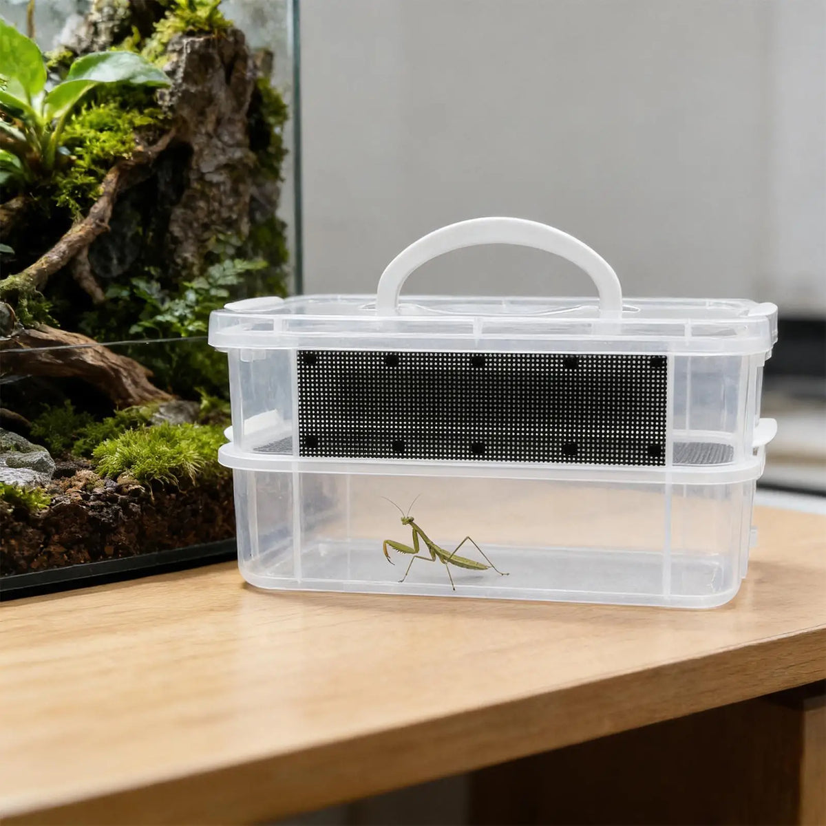 Mealworm Farm 2/3 Layer Clear Mesh Breeder Bin