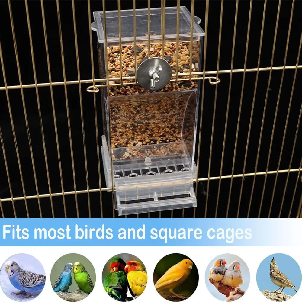 No Mess Automatic Bird Feeder Transparent Food Container