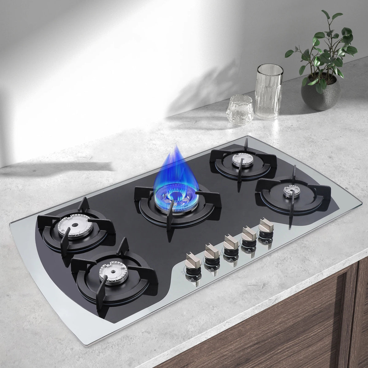 Lpg/Ng Gas Cooktop Gas Cooker Burners Built-In Gas
