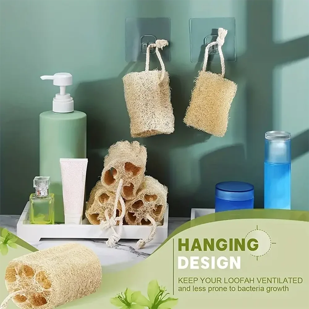 1/3/5pcs Natural Loofah Dish Brush Pot Brush Cleaning